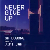 Never Give Up artwork