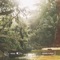 Conifer (feat. All BGM Channel) - Sound Forest lyrics