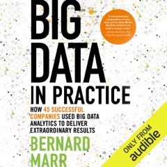 Big Data in Practice: How 45 Successful Companies Used Big Data Analytics to Deliver Extraordinary Results (Unabridged)