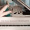 The Piano Bar - Restaurant Music Academy lyrics