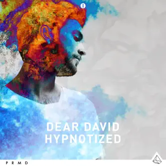 Hypnotized (Extended Mix) by Dear David song reviws