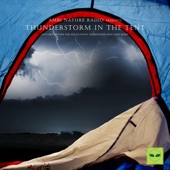 Rain and Thunderstorm on the Camping artwork