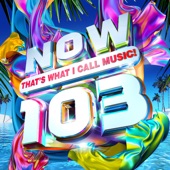 NOW That's What I Call Music! 103 artwork