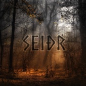 Seidr artwork