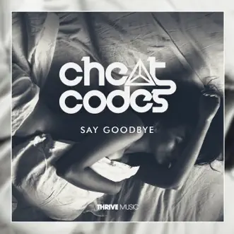 Say Goodbye by Cheat Codes song reviws