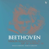 Beethoven: Violin Sonatas, Vol. 4 –, Op. 96 & 24 artwork