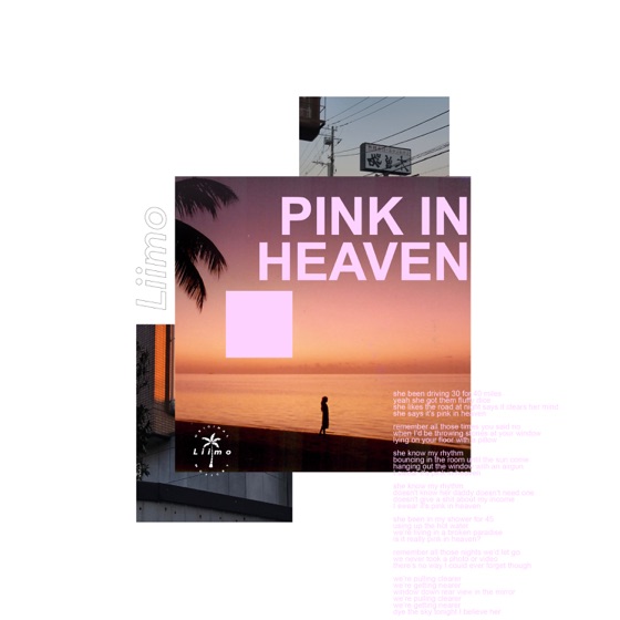 Cover artwork for Pink in Heaven