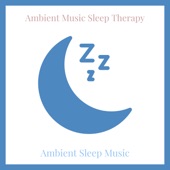 Ambient Sleep Music artwork