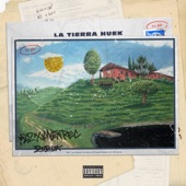 La Tierra Huek artwork