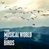 The Musical World of Birds, 2020