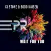 Wait for You - Single album lyrics, reviews, download