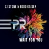 Wait for You - Single, 2023