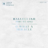 Hallelujah (Why We Sing) / O What a Miracle - EP artwork
