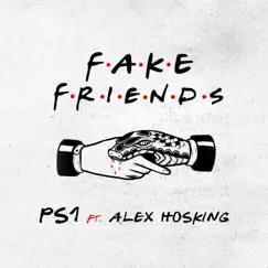 Fake Friends (feat. Alex Hosking) Song Lyrics