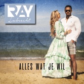 Alles Wat Je Wil artwork