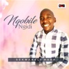 Nqobile Ngidi - Sekwanele Baba