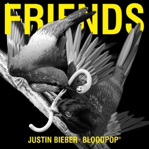 Justin Bieber & BloodPop® - Friends - Line Dance Musik