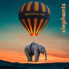 Elephants - Single