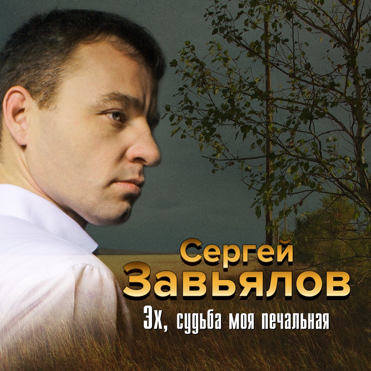 Завьялов Сергей – Судьба-злодейка: слушать и скачать mp3 песню