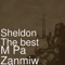 M Pa Zanmiw (feat. Tonymix & Yani Martelly) - Sheldon The best lyrics