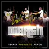 DiBash (feat. Focalistic, Pencil & Secret) - Single album lyrics, reviews, download