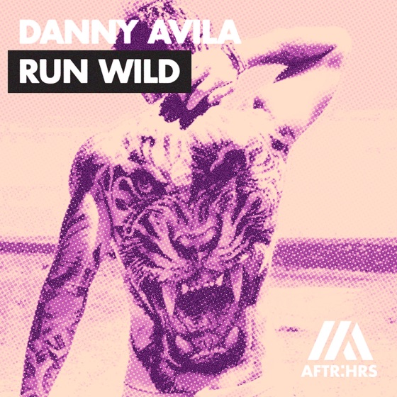 Cover artwork for Run Wild
