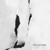 Will You Fight - Single album lyrics, reviews, download