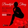Beautiful Thing (Soulful House Remix) [feat. Donáe] - Single