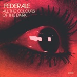 Federale - The Fire Came Down from the Mountain