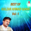 Gulzar Ahmad Ganai - Vaadh Sariyo (From "Vaadh Sariyo")