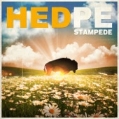 Stampede artwork