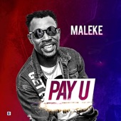 Pay U artwork