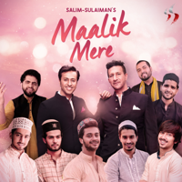 Salim-Sulaiman - Maalik Mere (feat. Raj Pandit, Vipul Mehta & Salman Ali) artwork