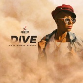 Dive: Dust Raiser Riddim artwork