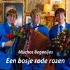 Muchos Begaoijos - Een Bosje Rode Rozen