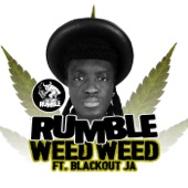 Weed Weed (Jungle Mix) [feat. Blackout JA, Liondub & Marcus Visionary] artwork