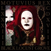Motuvius Rex - Black Locust Grove