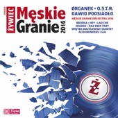 Męskie Granie 2016 (Live) artwork