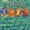 Surf - -