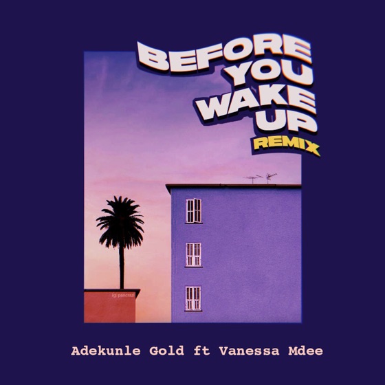Cover artwork for Before You Wake Up (feat. Vanessa Mdee)