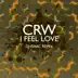 I feel Love (DJ Isaac Remix) song reviews