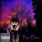Dark Skys - Papi Cheez lyrics