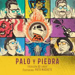 Palo y Piedra (Versión 25 Años) [feat. Pato Machete] - Single - Desorden Público