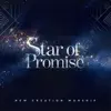 Star of Promise - Single album lyrics, reviews, download
