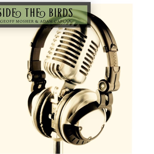 Inside the Birds