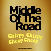 Chirpy Chirpy Cheep Cheep (2019 Re - Recording) artwork