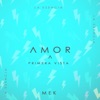 Amor a Primera Vista - Single, 2020