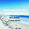 What More Do You Want from Me - Single