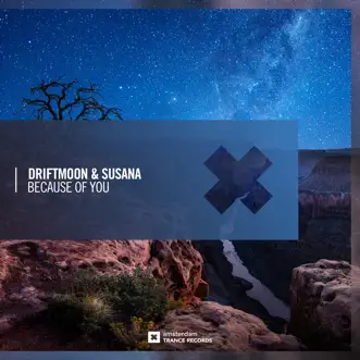 Because of You by Driftmoon & Susana song reviws