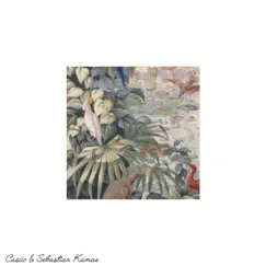 Flora & Fauna - Single by Casiio & Sebastian Kamae album reviews, ratings, credits